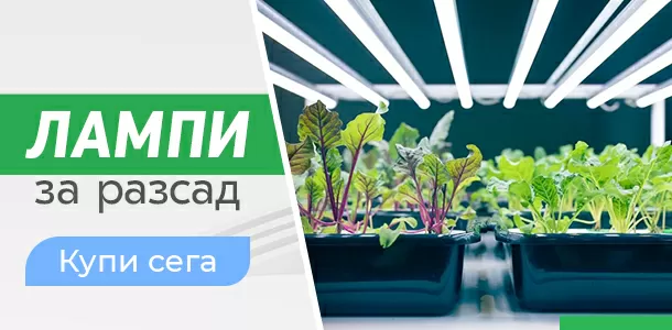 CalMag Nutrient for plants