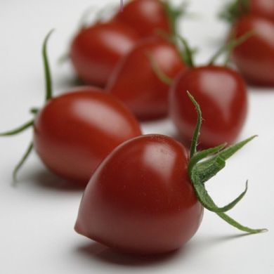 Gardenberry F1 Cherry Tomatoes  seeds - 10 pcs.