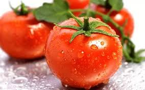 "ABC potato-leaf" Cherry Tomatoes 15 seeds