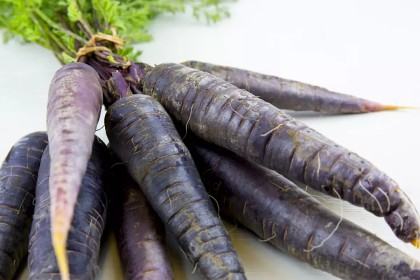 Deep Purple F1 Carrot seeds - 500 pcs.