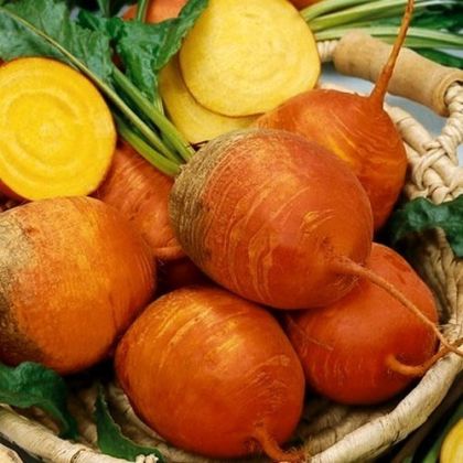 Golden Detroit beetroot seeds - 300 pcs. (±) / 4 gr