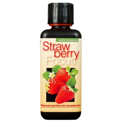 Strawberry Focus 300мл. - Тор за Ягоди