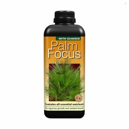 Palm Focus - fertilizer for palm plants