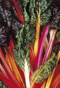 Семена от Манголд "Beta vulgaris" - 5 цвята - 100 броя