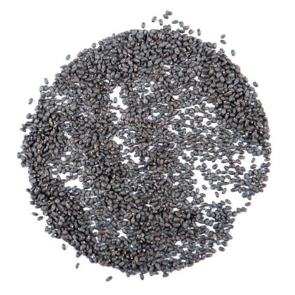 Red Basil Seeds 20 g