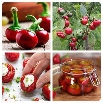 Пикантна Череша (Ciliegia Piccante) - 50 бр. (±) семена