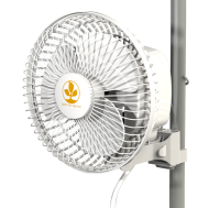 Secret Jardin Monkey Fan 16 W