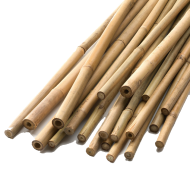 Bamboo Stick 122cm ⌀ 12/14mm 1pc for plants and vegetables