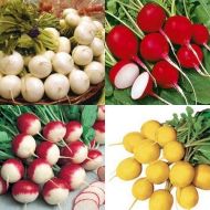 Семена от Червени Репички (микс) 1250 бр (±) / 10 гр