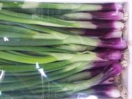 Семена от Дълъг червен лук (Rossa Lunga di Firenze) 1000 бр (±) / 4 гр