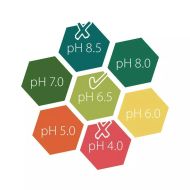 VitaLink ESSENTIALS pH Test INDICATOR 30ml (for 200 test)