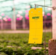 Horiver sticky trap for insects - 10 pcs. (yellow, 10x 5cm)