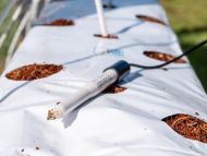 Bluelab Leap pH Probe with hardened tip