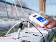 Bluelab Leap pH Probe with hardened tip