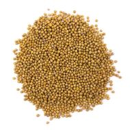 Органични семена за микрорастения от Бял синап - 100 гр.