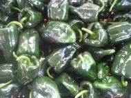 "Padron" Chilli Pepper (Pimientos de Padron)  25 seeds