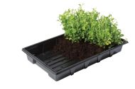 Garland Professional Gravel tray for seedlings, 37 x 23.5 x 6 cm (without holes)