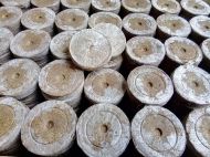 Jiffy-7 30mm. - Pressed peat pellets / plugs / washers - 2000pcs. (box)