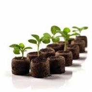 Jiffy-7 30mm. - Pressed peat pellets / plugs / washers - 2000pcs. (box)