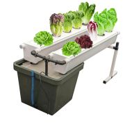 Terra Aquatica GrowStream10 V2 – Аеро-хидропонна система за 10 растения