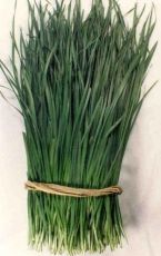 Семена от Чеснов Лук (Allium tuberosum) - 750 бр. (2.5 гр)