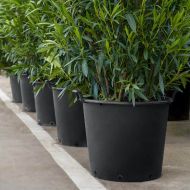 BIG ROUND POT + HANDLES MASTELLIi 43L