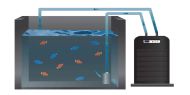Hailea HC-2200BH Chiller 1500 - 4000 l/h. - Chiller / cooler for tanks / aquariums