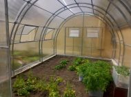 Window / Skylight Greenhouse Primaterra