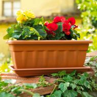 Pot Cassiopea 60×20×16, anthracite — 12.5 l