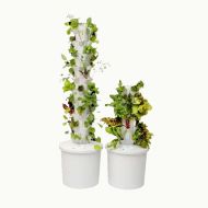 Hydroponic Vertical Garden — a complete kit for vertical hydroponic gardening