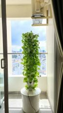 Hydroponic Vertical Garden — a complete kit for vertical hydroponic gardening