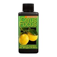Citrus Focus - Тор за Цитрусови Плодове