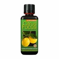 Citrus Focus - Тор за Цитрусови Плодове