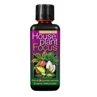 House Plant Focus - Тор за Стайни Растения