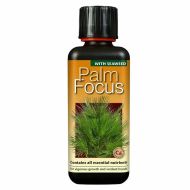 Palm Focus - тор за палмови растения