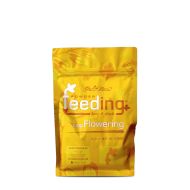 GH Powder Feeding Long Flowering - тор за дългоцъфтящи растения (на прах)