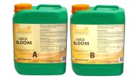Ferro COCO BLOOM A&B - flowering fertilizer (for coconut, for tap water)