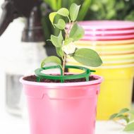 Пръстен за напояване за равномерно разпределяне на вадата в корена 