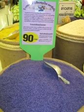 Flowers - Clitoria ternatea - The Blues - 20 seeds