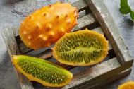 Семена  от Кивано / Африканска рогата краставица (KIWANO) - 15 броя
