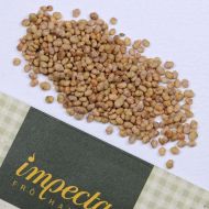 Семена от Маруля - Verte de Cambrai - 25 грама