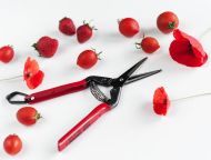 Градинска ножица CHIKAMASA T-55C (дълго острие)