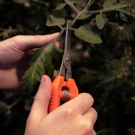 Градинска ножица CHIKAMASA TP-530S (ултралека)