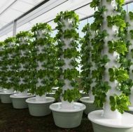 Hydroponic Vertical Tower with 7 levels