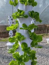 Hydroponic Vertical Tower with 9 levels
