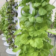 Hydroponic Vertical Tower with 9 levels