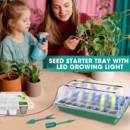 Germination and rooting kit with built-in lighting - 40 sockets, 2 LED strips, x 38 x 24 x 12cm