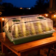 Germination and rooting kit with built-in lighting - 40 sockets, 2 LED strips, x 38 x 24 x 12cm