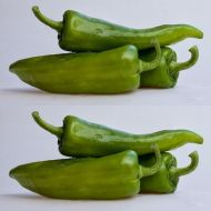 🌶️ Anaheim chili pepper seeds (Sonora Anaheim) – 15 pieces