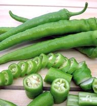 🌶️ Chili Pepper Seeds - Sera Demre - 15 pieces